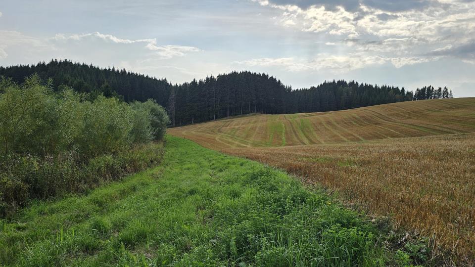 Lenke til artikkel: Landbruksinfo fra Indre Østfold kommune uke 36/2026