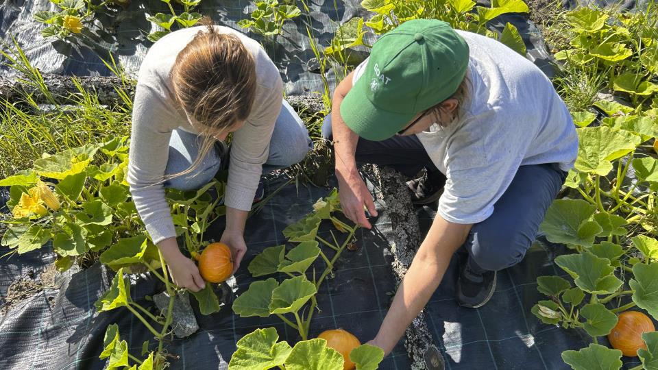 Lenke til artikkel: Bli med på Smakskraft – konferansen om lokalmat og besøksnæring