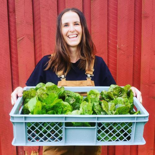Haugerud gård, Smaken av Indre