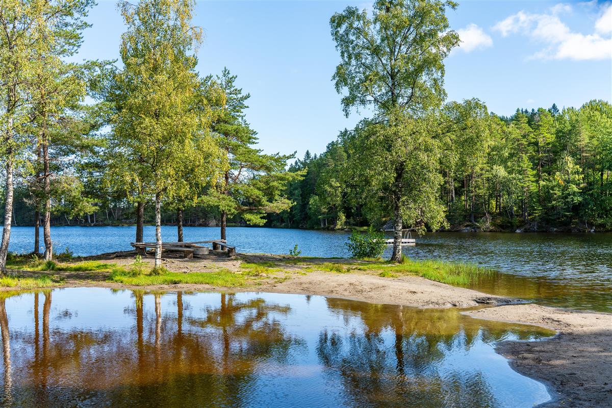 Tjern og badeplass - Klikk for stort bilde