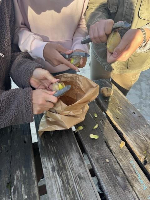 Klikk for stort bilde