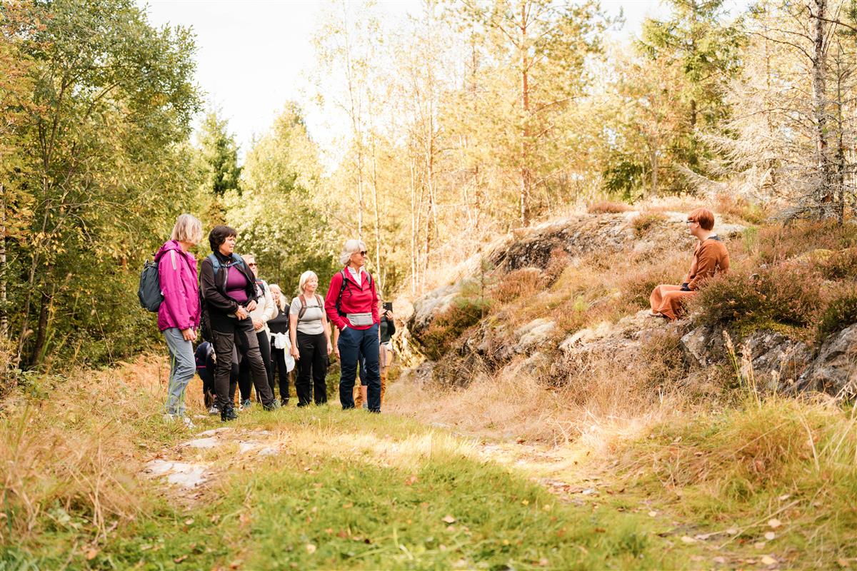 Ingaleden - Klikk for stort bilde