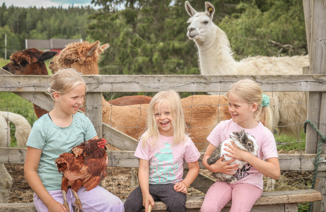 Funny Farm - Klikk for stort bilde
