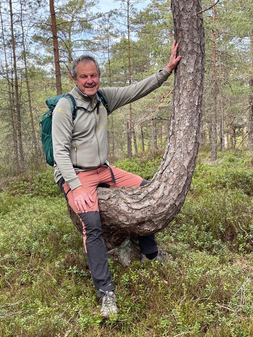 Bilde av Svein Syversen på tur i skogen  - Klikk for stort bilde