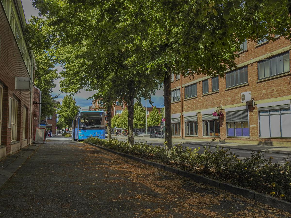 buss og tre i askim - Klikk for stort bilde