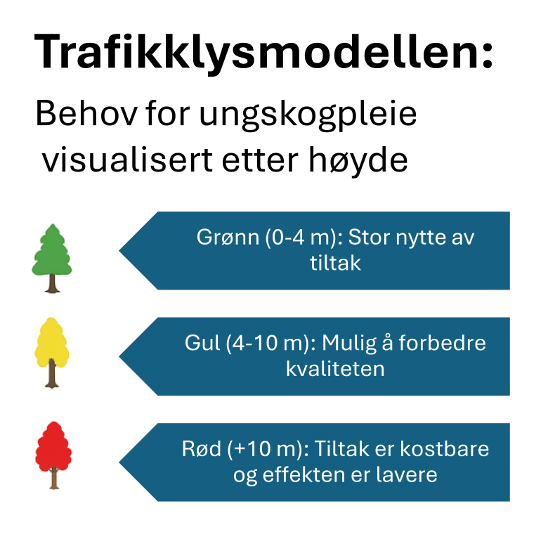 Trafikklysmodellen for ungskogpleie - Klikk for stort bilde