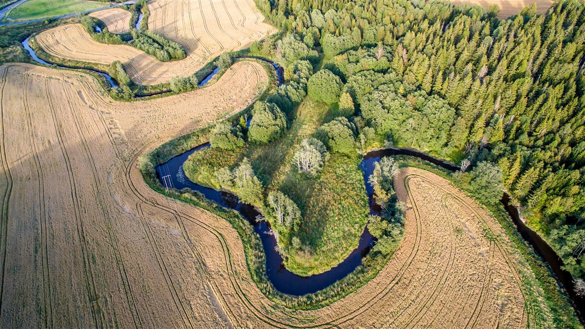 Jorder, Mysenelva - Klikk for stort bilde